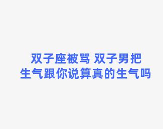 双子座被骂 双子男把生气跟你说算真的生气吗